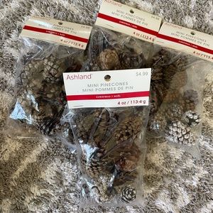 4 bags of mini pine cones